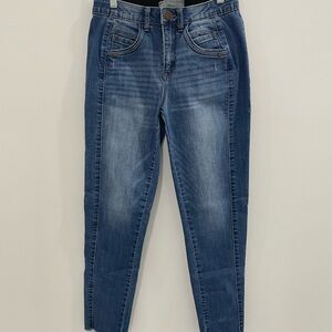 Wit & Wisdom Blue Ankle Jeans